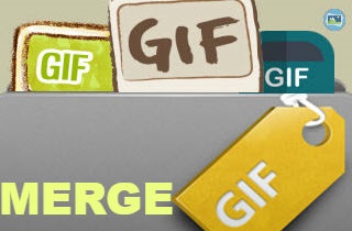merge-gif-featured