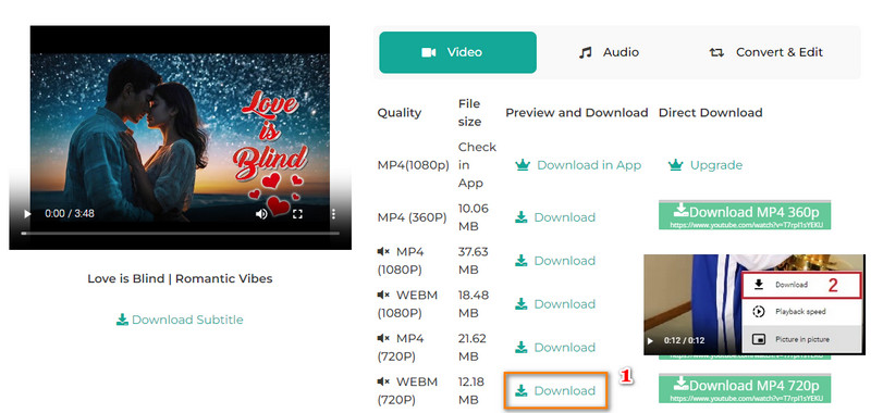 preview and download youtube video