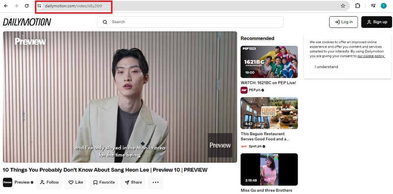 copy url dailymotion