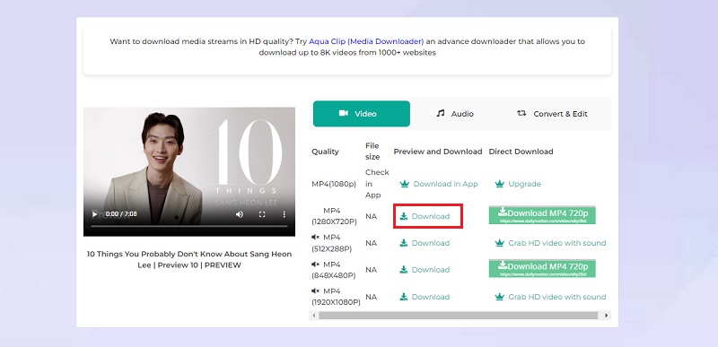 download video dailymotion