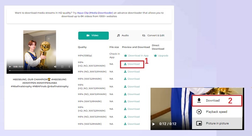 download tiktok video