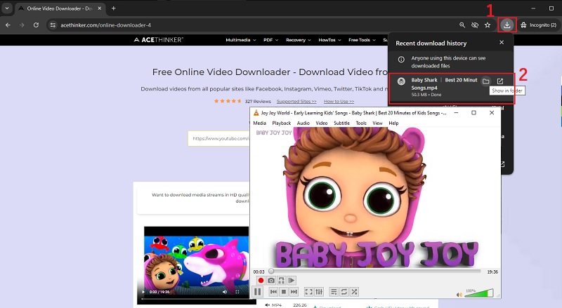 preview playback