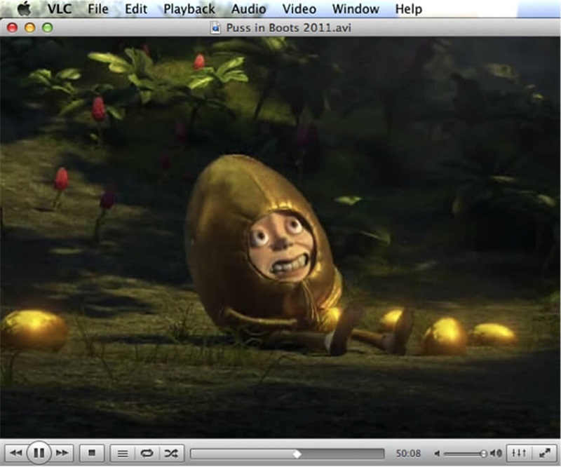 paly the video