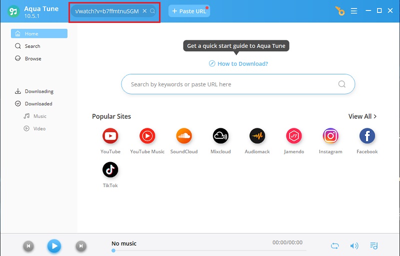 copy and paste video url