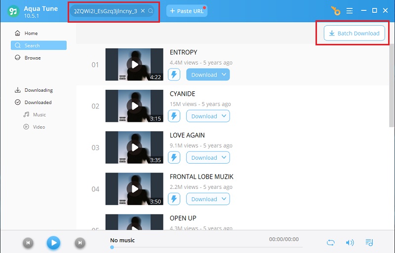 batch download playlist