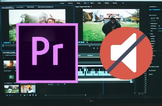 feature premiere pro no audio import