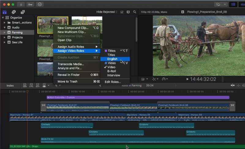 sports video editor final cut pro