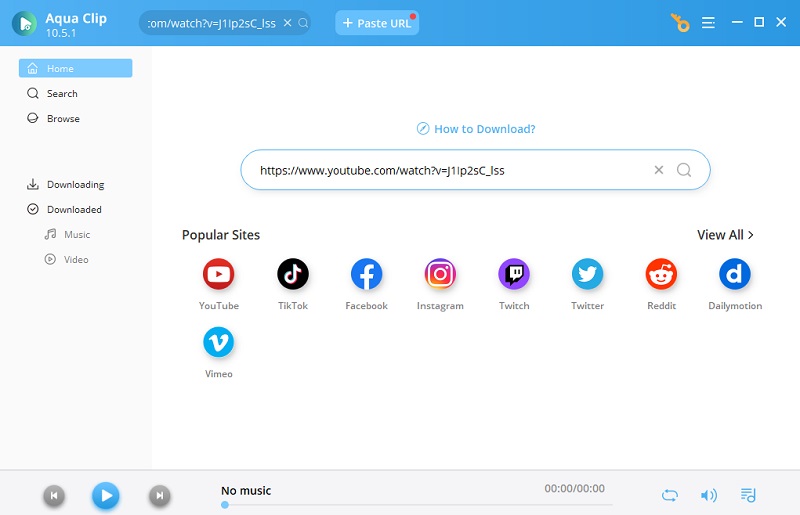 paste url to download video
