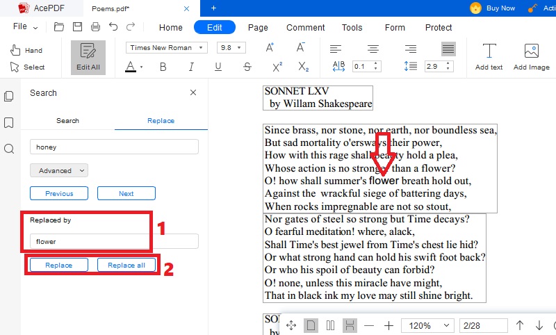 type new text, hit replace or replace all button