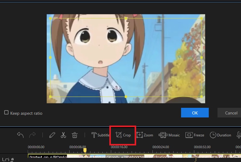 Crop Video