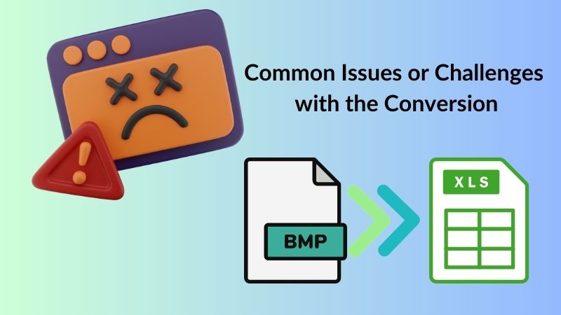 common issues or challenges with the conversion