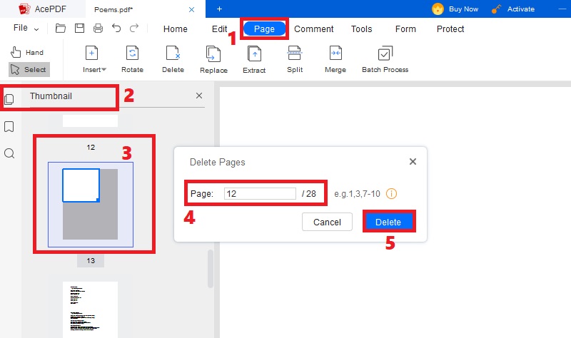hit page and thumbnail, select blank page and click delete