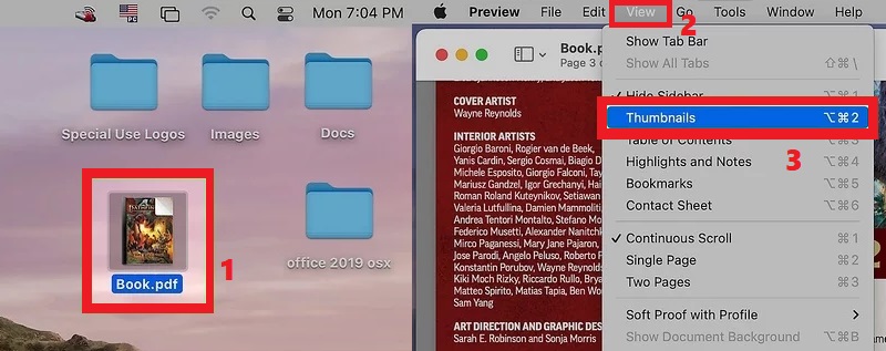 select pdf, hit view and click thumbnail