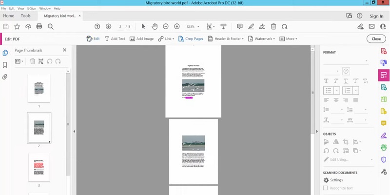 set up and modify your pdf files size