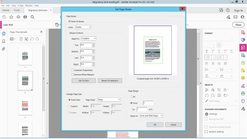 optimize and preview your file for saving
