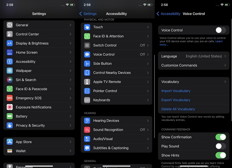 disable voice command