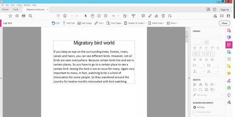 accessing the text editing tool