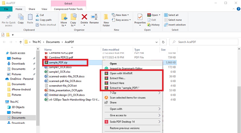 check the converted pdf images