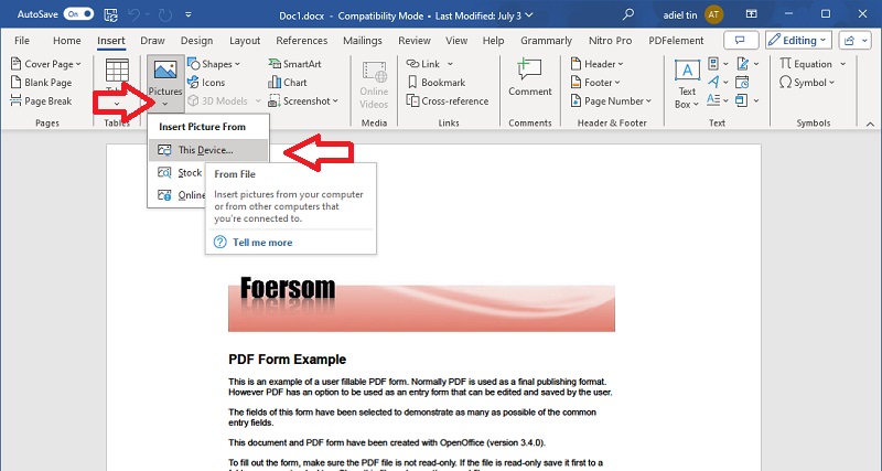 insert image using the insert picture tool