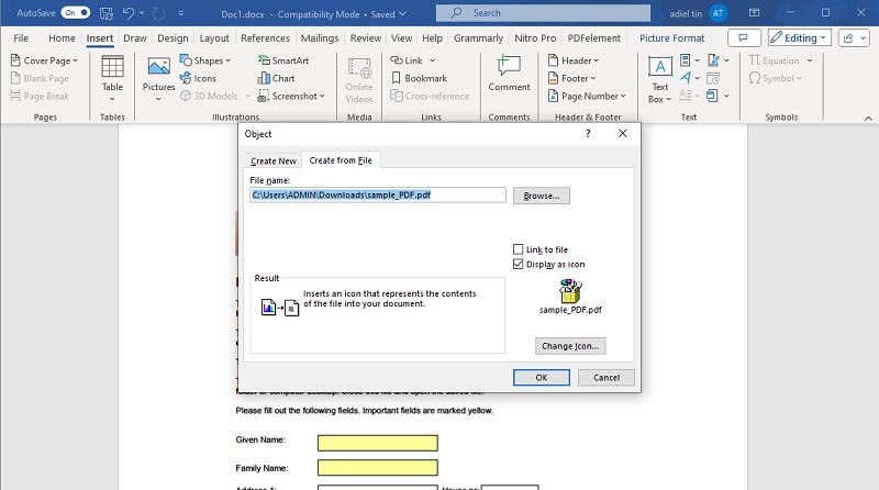 insert object as an object
