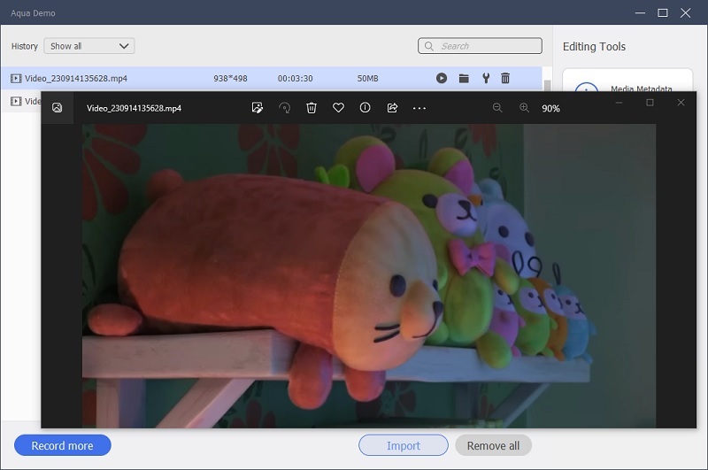 video playback