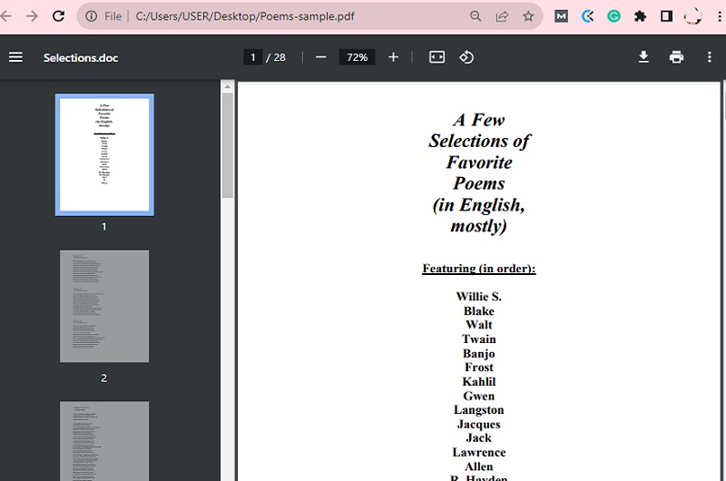 google chrome pdf interface