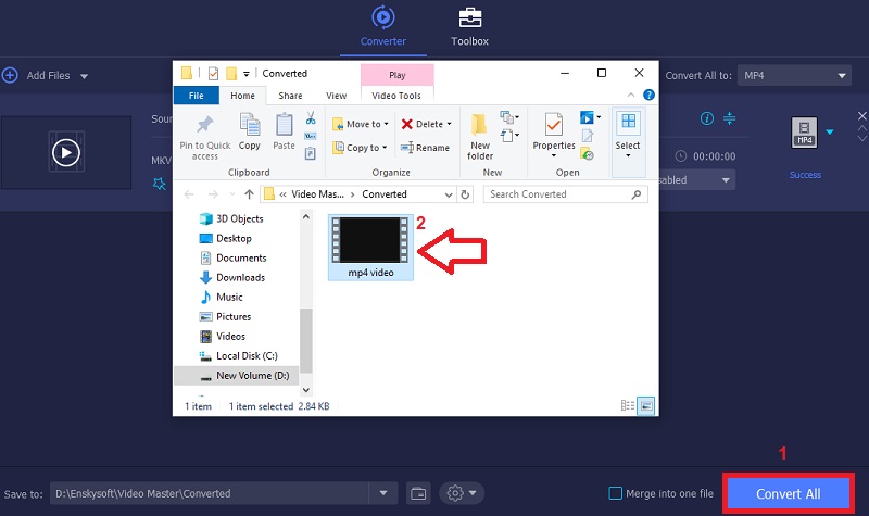convert and preview the video