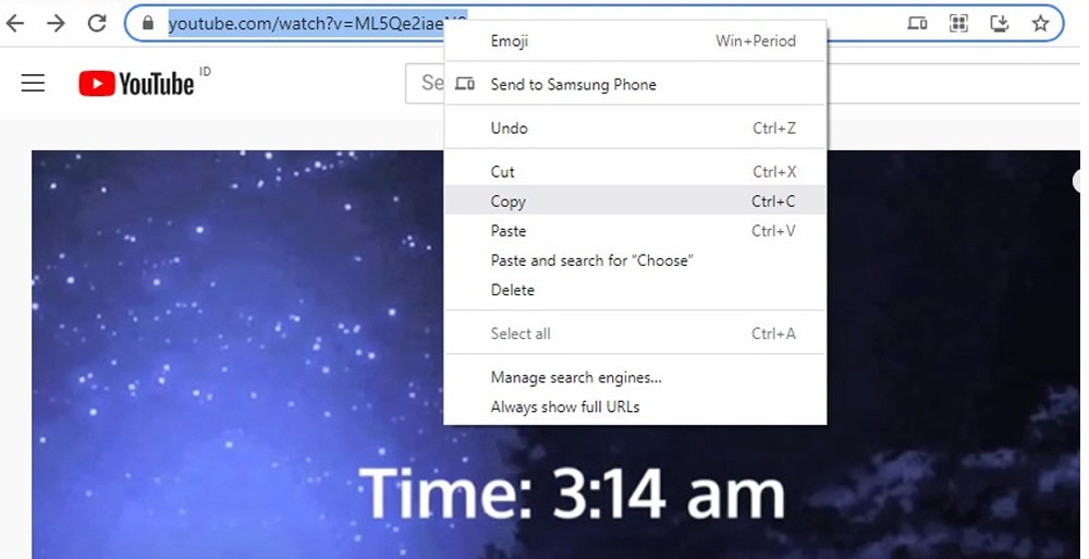 copy url