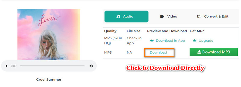 download audio from spotify