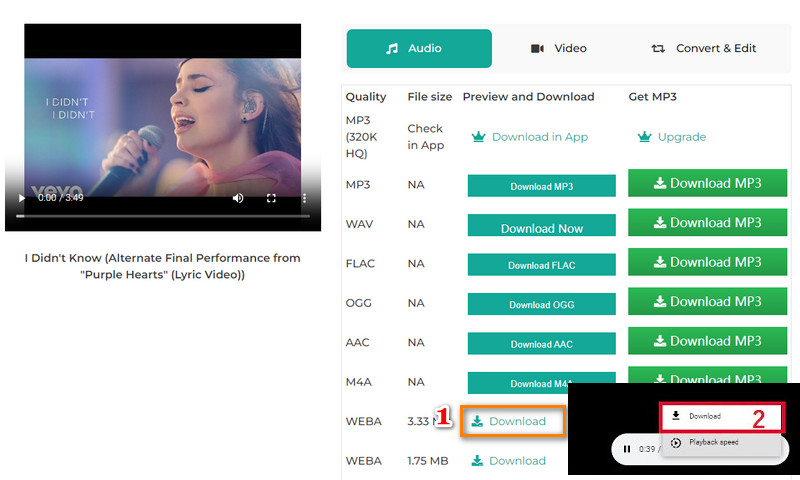 preview and download youtube audio