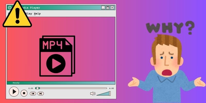 reasons why mp4 not working