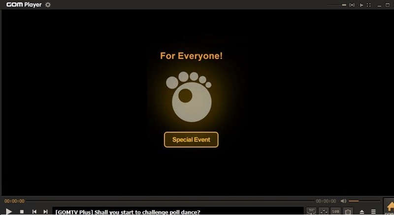 gom player interface