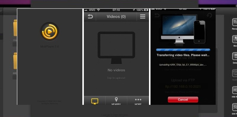 moli player interface