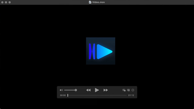 iina interface