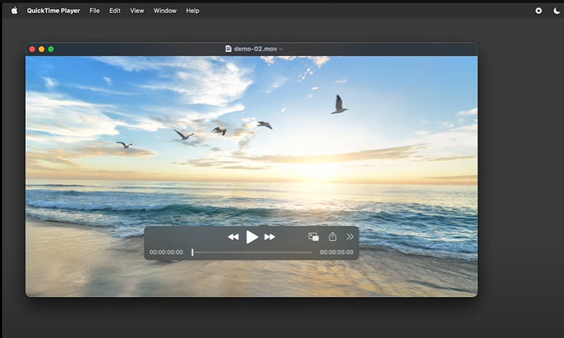 quicktime player interface