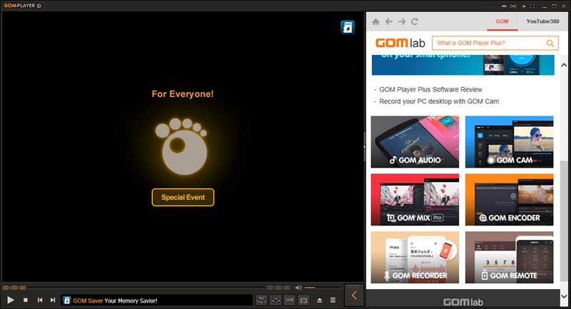 gom player interface