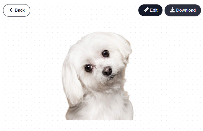 remove the image background