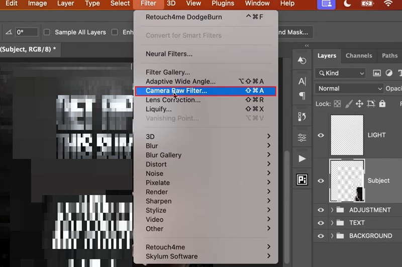camera raw filter