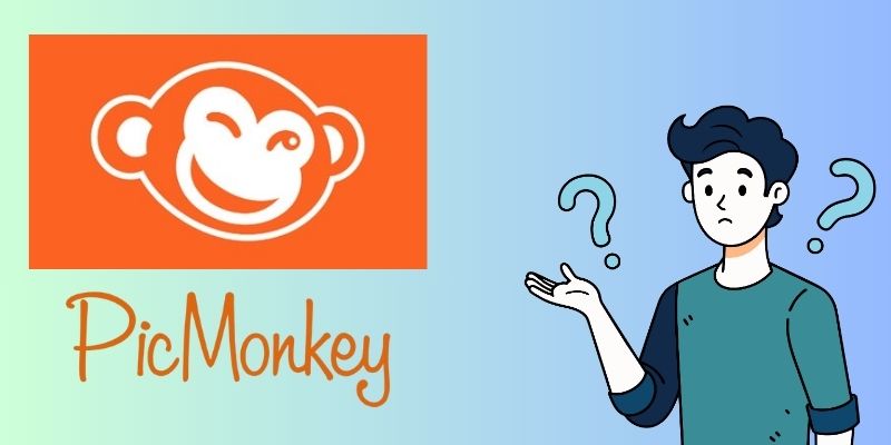 understanding picmonkey