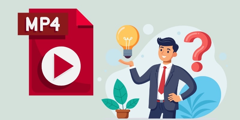 what is mp4 video format displayed image