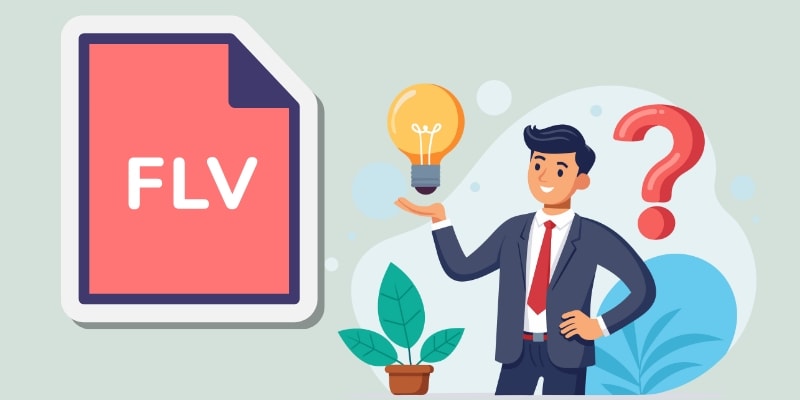 what is flv displayed image
