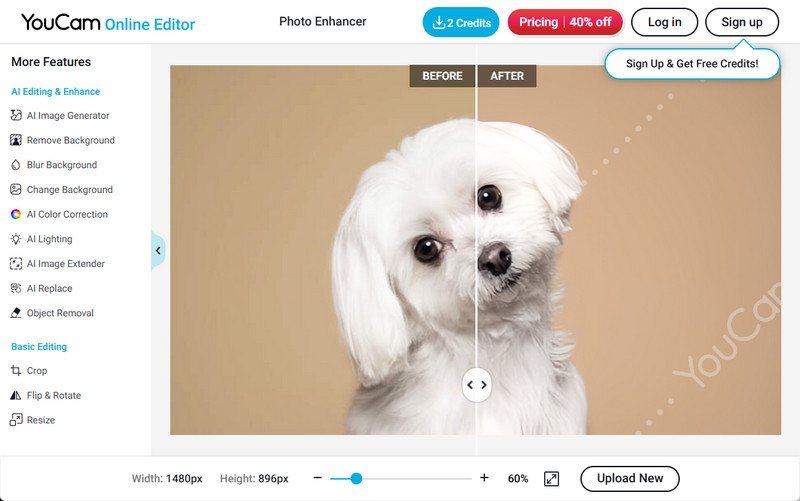 youcam online editor