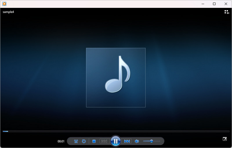 wmp interface