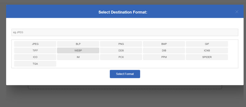 Select Format