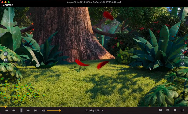 omniplayer