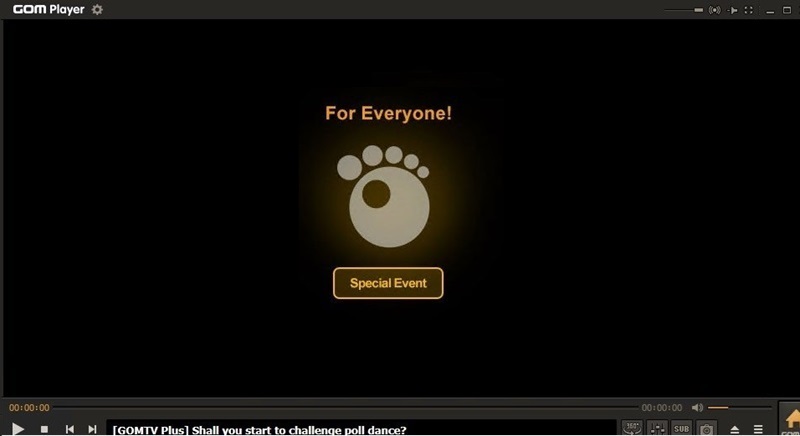 gomplayer interface