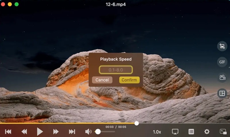 omniplayer interface