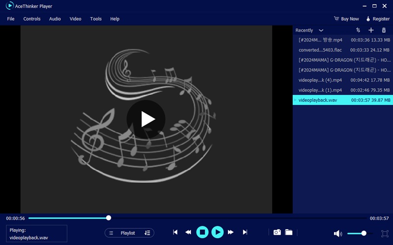 acethinker player interface