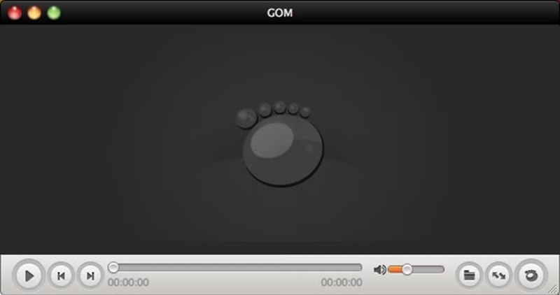 gom player interface