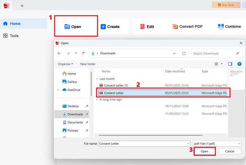 open pdf file